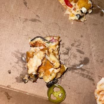 Terra Pizza Yemekte Kıl Çıktı