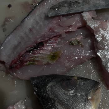 Carrefour SA Bozulmuş Balık Satışı Hakkında