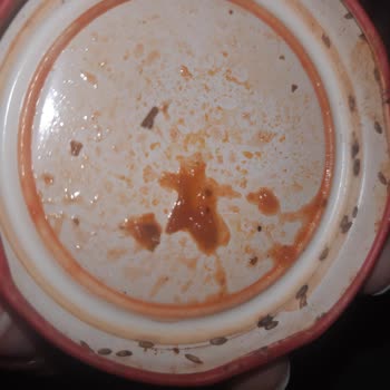 Burcu Gıda Balkan Sosunda Böceklenme Sorunu