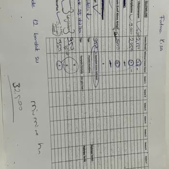 Yaşlı Bakım Merkezi Lenf Ödem Tedavi Sürecinde Yaşanan Sorunlar