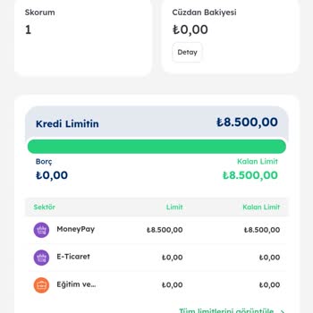MoneyPay Hazır Limit Skandalı