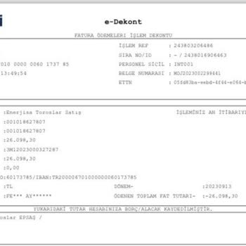 Toroslar Elektrik Dağıtım Aynı Aya Ait Faturamı 2 Defa Ödemesini Aldılar