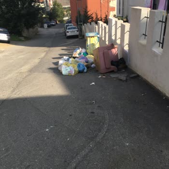 İBB - İstanbul Büyükşehir Belediyesi İstanbul Pendik Esenyalı