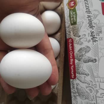 Kumartaşlı Gıda Kumartaşlı Yumurta Bayat Ve Boyutu Farklı