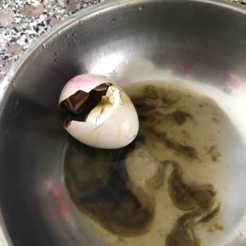 Tarım Kredi Kooperatif Market Sağlam Çıkmayan Yumurtalar