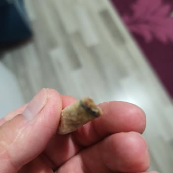 Şok Marketler Ekmekte İzmarit Çıktı