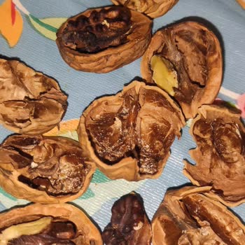 Migros Bozuk Ürün Satıyor