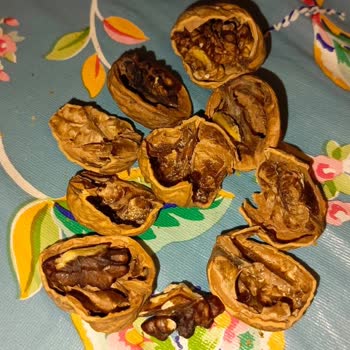 Migros Bozuk Ürün Satıyor