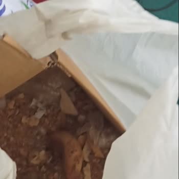 Diyanet İşleri Başkanlığı Camiyi Ahıra Çeviren Görevli