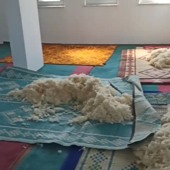 Diyanet İşleri Başkanlığı Camiyi Ahıra Çeviren Görevli
