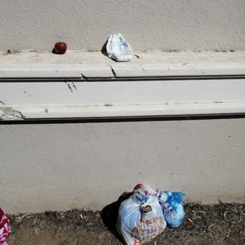 Halal Paradise Didim Bu Nasıl 5 Yıldız?