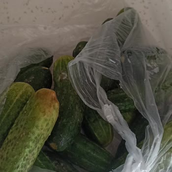 Yunus Market Kornişonu Domates Fiyatından Tartmaları