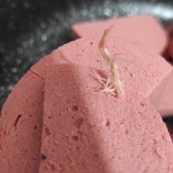 BİM Tombik Piliç Salam