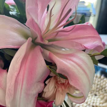 Çiçek Sepeti Kusurlu Ürün Satıyor