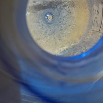 Beysu Damacana Tabanı Yemyeşil