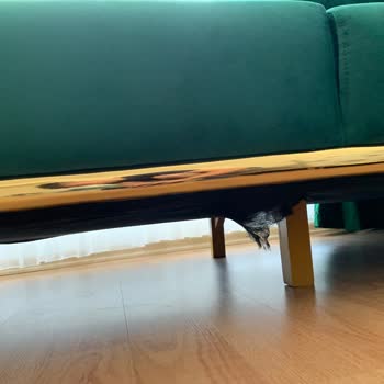 Ahs Mobilya ve Halı Mağazalarının Sorumsuzluğu