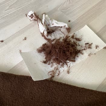 Oyku Wear Eşofman Takımı Tüy Tüy Dökülüyor