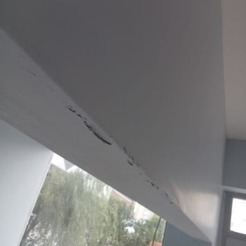 Marshall Boya Markası Mağduriyeti