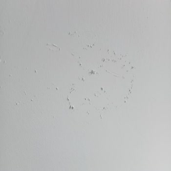 Marshall Boya Markası Mağduriyeti