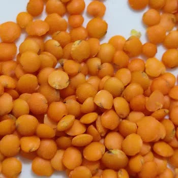 A101 Kurtlanmış Filizlenmiş Mercimek