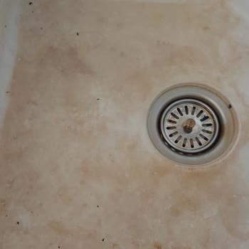 Franke Evye Leke Çıkmıyor