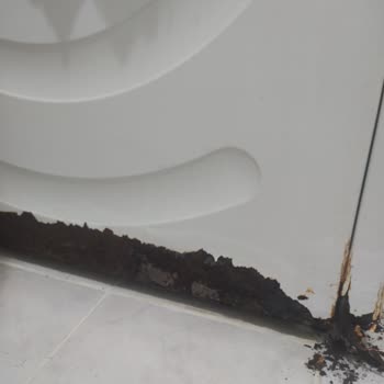 Bosch Çamaşır Makine Çürüyor