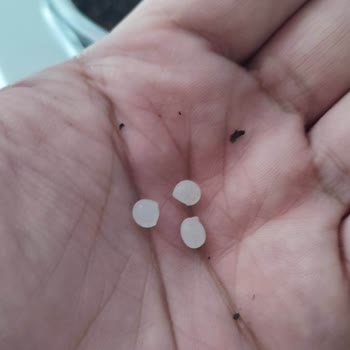 Berk Çay Plastik Parçaların Çıkması Sorunu