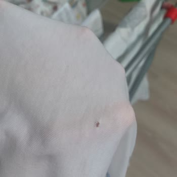 Bosch Çamaşır Makinesi Çamaşırlarımızı Delik Deşik Yapıyor!