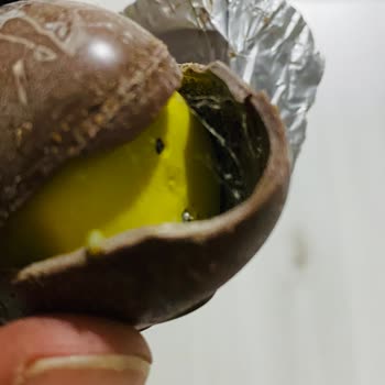 Ozmo Sürpriz Yumurta Kurtlu Çıktı