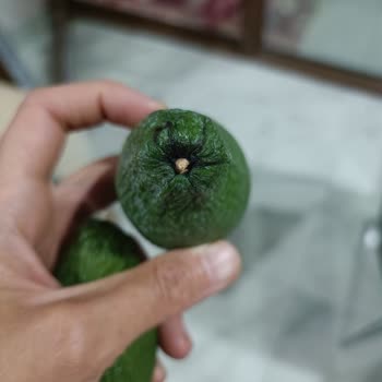 Yesillimon.com 2. Kalite Ürün Gönderilmesi