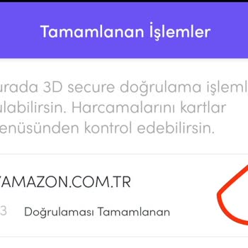 Amazon Ormanlarında Yaşayan Amazon.com