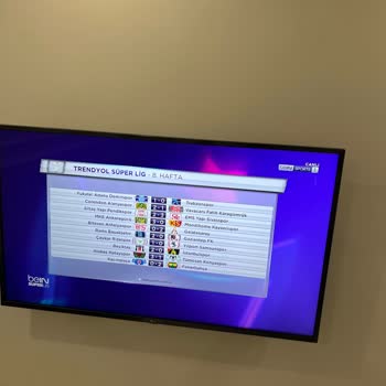 LG Ekranda Çizgi Gölge Gözükmesi