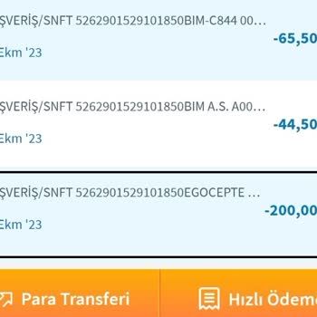 ABB - Ankara Büyükşehir Belediyesi EGO Kartıma Yükleme Yaptım Ama Kart Hala Boş Görünüyor