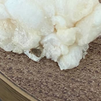 A101 Burch Mısır Ve Pirinç Patlağı