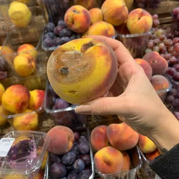 Carrefour Ürünlerinin Çürük Olması