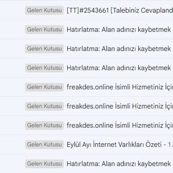 Natro Hosting Domain Yenileme Sorunu