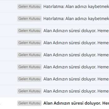 Natro Hosting Domain Yenileme Sorunu