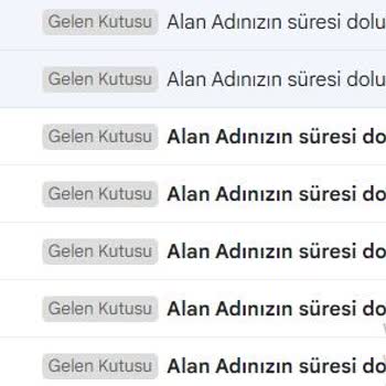 Natro Hosting Domain Yenileme Sorunu