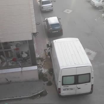 Yunusemre Belediyesi Köpek Saldırısı Ve Çözümü