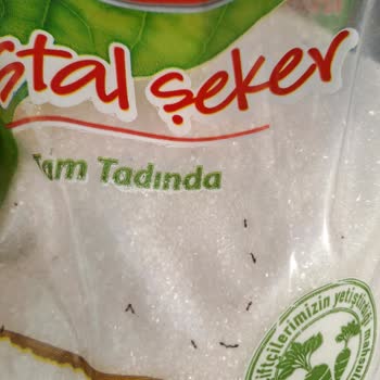 Torku Şeker Paketinde Karıncalar