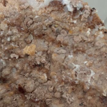 Burger King Caddebostan Kötü Servis Soğuk Ürün Yanlış Ürün Ve Gecikme
