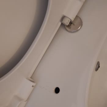 Bocchi Marka WC Kapağı Kırılması