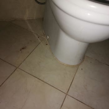Nilgün'le Diyar Diyar Söz Verilen İade Gerçekleşmedi