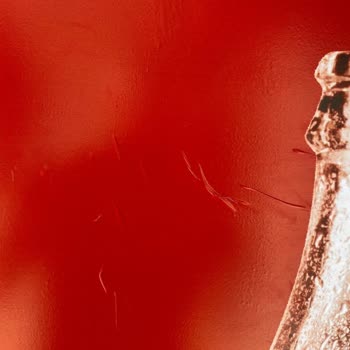 Coca-Cola Teknik Servis İş Bilmemezliği Ve Tavırları!