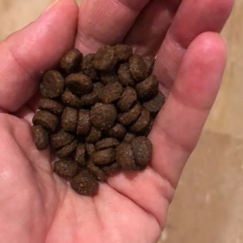 Farmina Pet İhtiyaç Bozuk Mama Satıyor