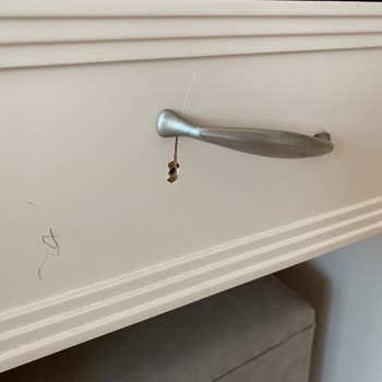 Presa Di Finica Hotel Memnuniyetsizlik Bildirimi