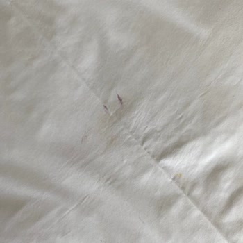 Presa Di Finica Hotel Memnuniyetsizlik Bildirimi