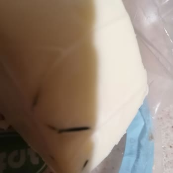 Sütaş Kaşar Peyniri Küflü Çıktı