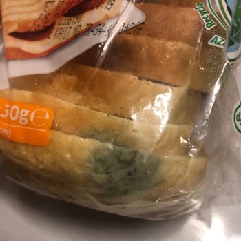 Migros Siparişim De Ekmek Küflü Çıktı 4 Gündür Bekliyorum Dönüş Yok