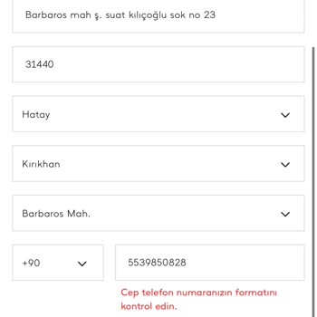 Mango İnternet Sitesi Sorunu